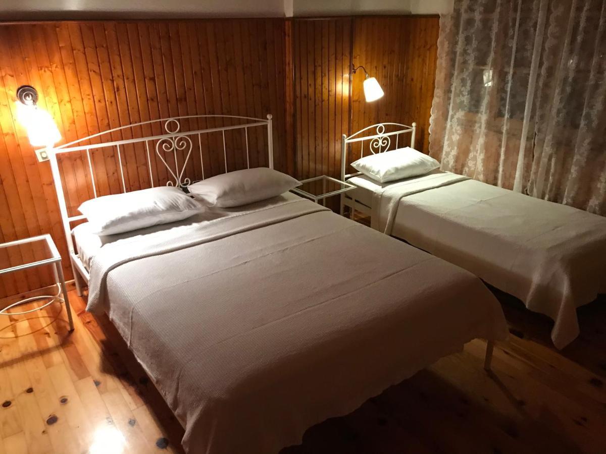 9Mouses Chasiotis Guest House Ampelakia Esterno foto