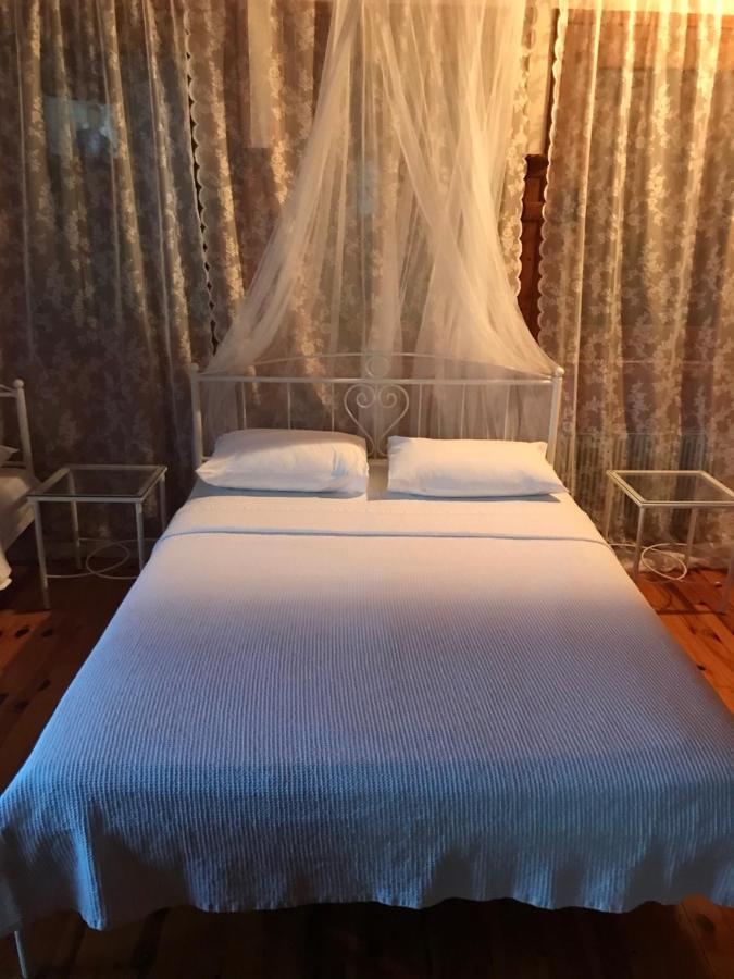 9Mouses Chasiotis Guest House Ampelakia Esterno foto