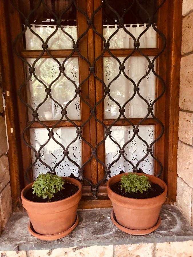 9Mouses Chasiotis Guest House Ampelakia Esterno foto