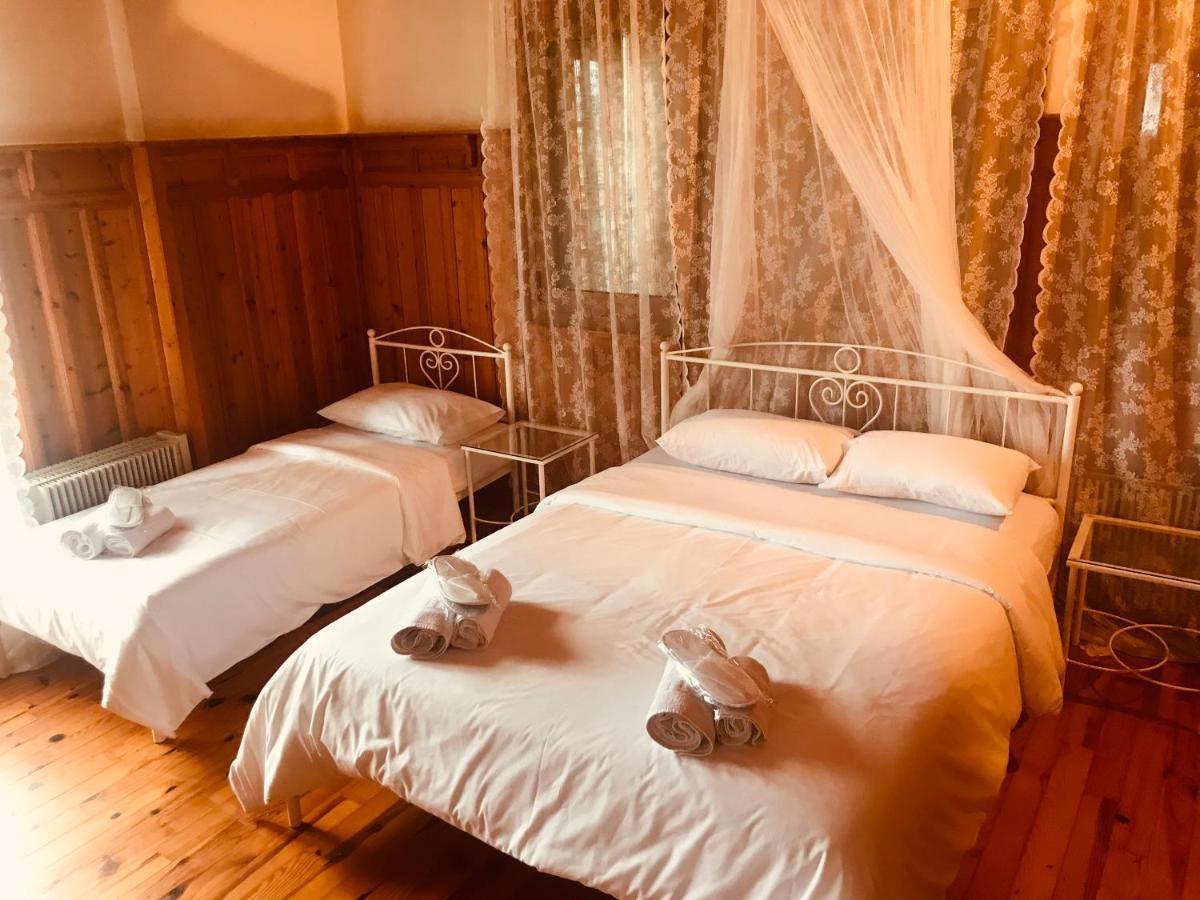 9Mouses Chasiotis Guest House Ampelakia Esterno foto