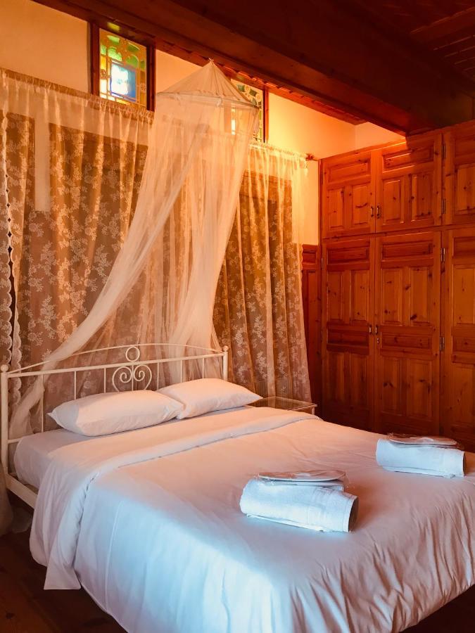 9Mouses Chasiotis Guest House Ampelakia Esterno foto