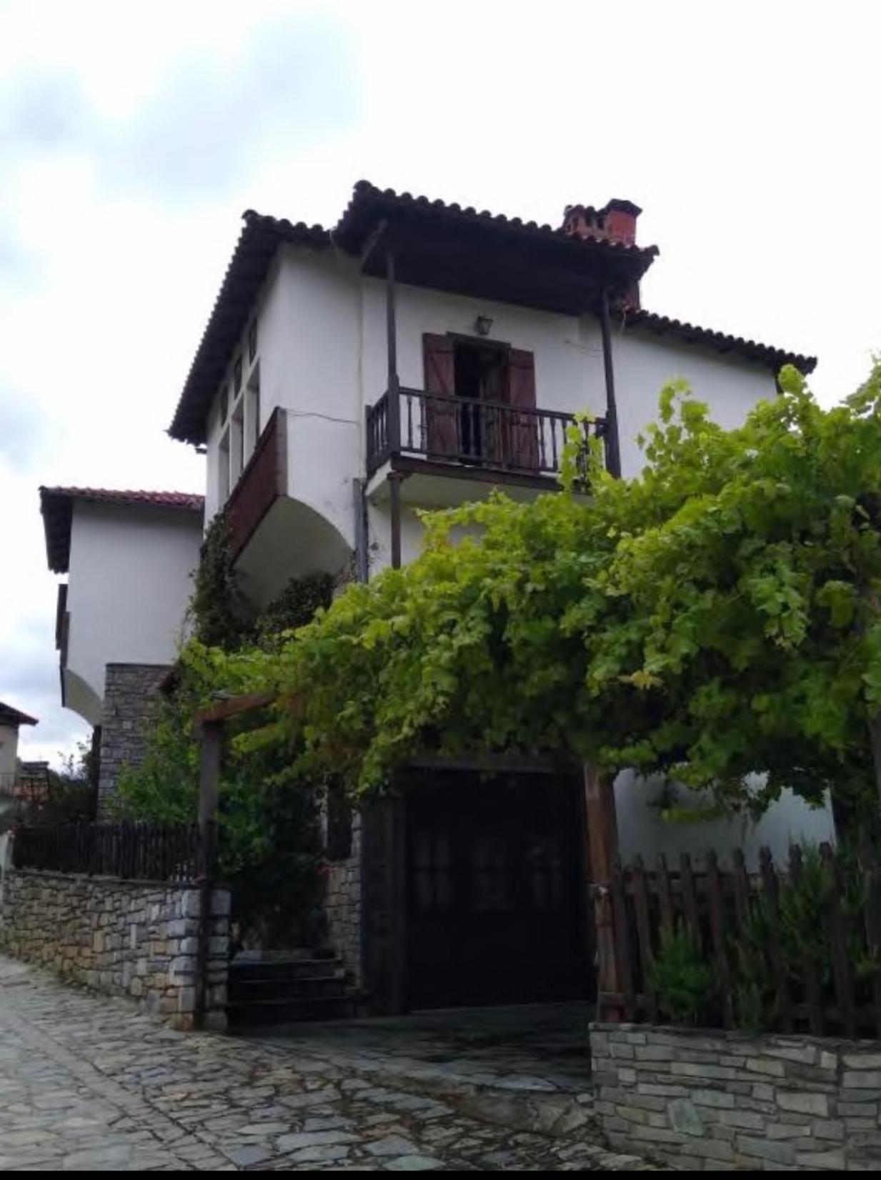 9Mouses Chasiotis Guest House Ampelakia Esterno foto