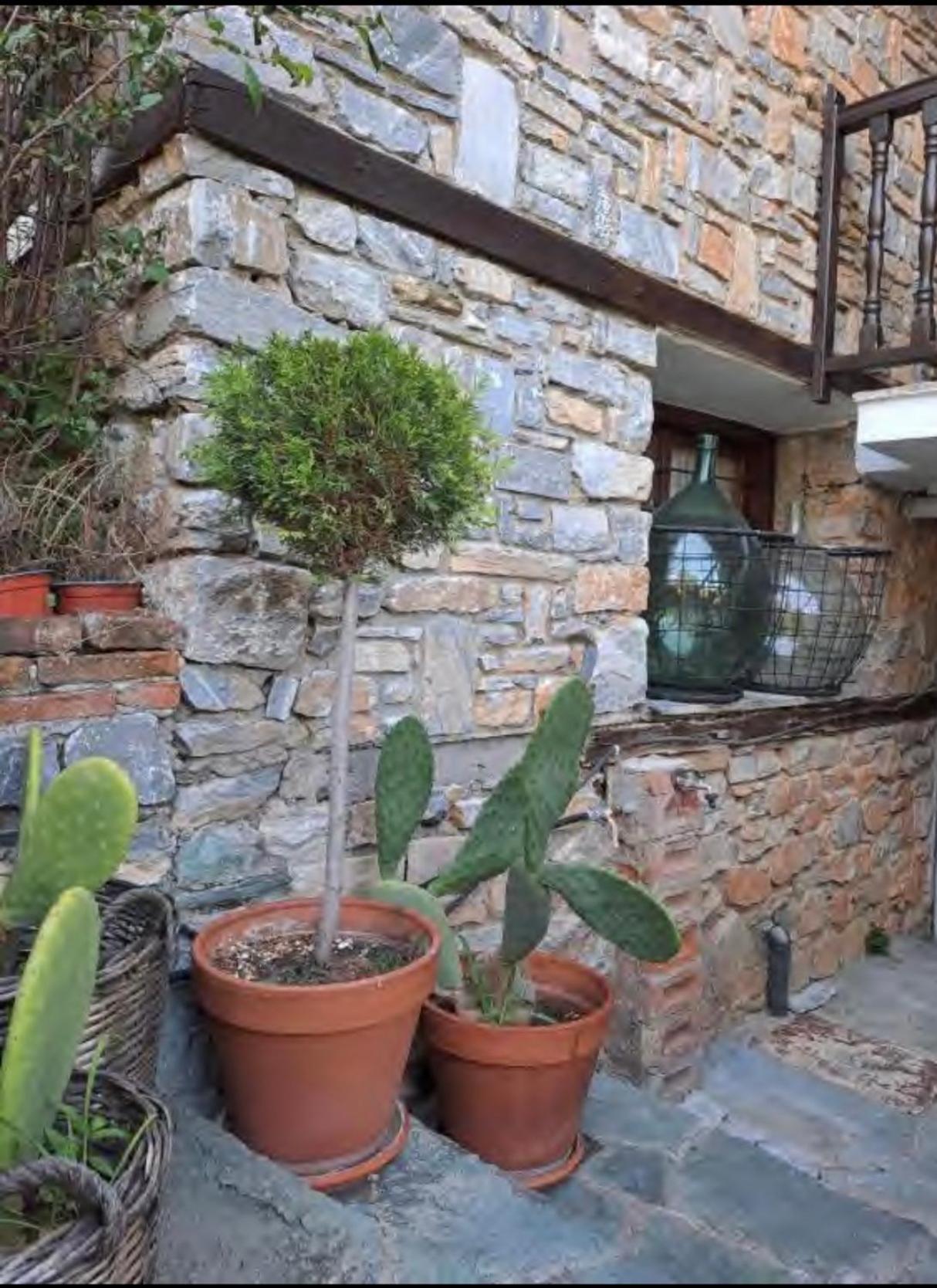 9Mouses Chasiotis Guest House Ampelakia Esterno foto